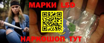 альфа пвп Новодвинск