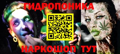 альфа пвп Новодвинск