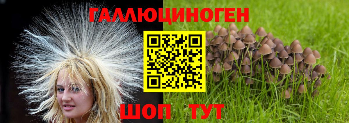 Галлюциногенные грибы Cubensis  Вход с VPN  Уварово 